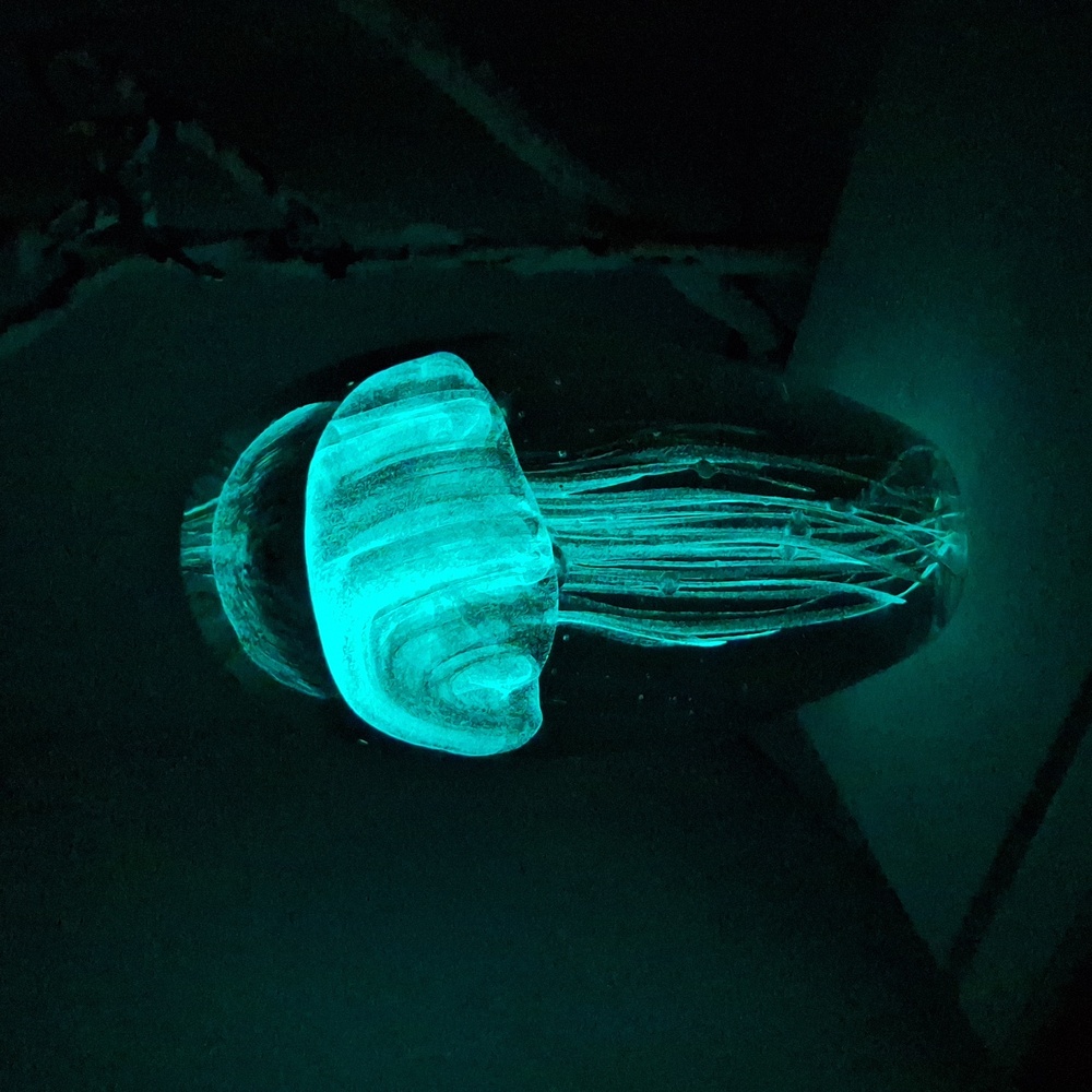 #ADN Dynasty Gallery Glass Glow In The Dark Jellyfish Paperweight